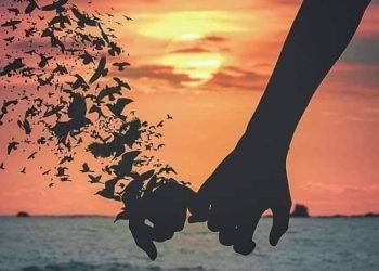 Sumber: https://pin.it/5HB0rVeHm